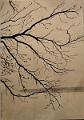 encre de chine_0027
